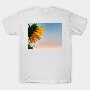 Sunflower and Moon - photograph by Margo Humphries T-Shirt